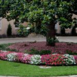 Landscape Architecture Companies, Landscape Design Companies, Landscape Drainage Companies Dallas TX