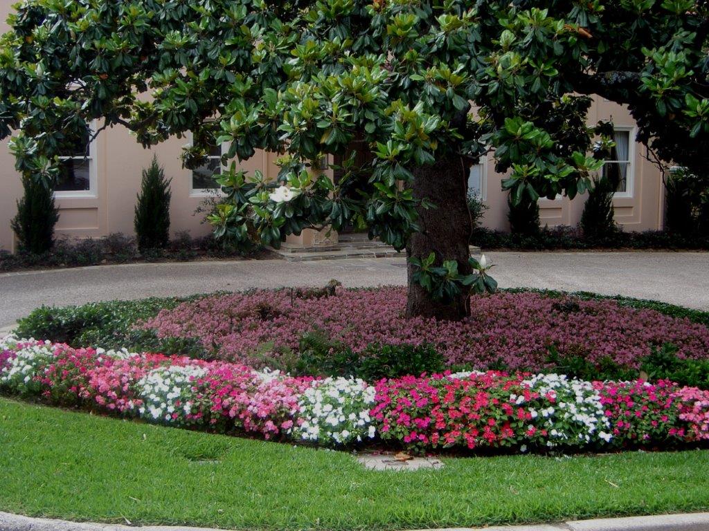 Landscape Architecture Dallas, Landscape Design Company, Landscape Drainage Contractor Dallas TX