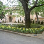 Landscape Architecture Companies, Landscape Design Companies, Landscape Drainage Companies Dallas TX
