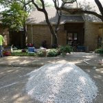 Landscape Architecture Companies, Landscape Design Companies, Landscape Drainage Companies Dallas TX