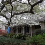 Landscape Architecture Companies, Landscape Design Companies, Landscape Drainage Companies Dallas TX